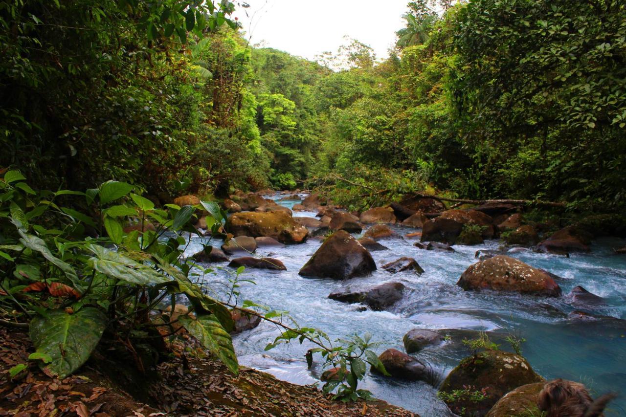 Rio Celeste Nature View Upala المظهر الخارجي الصورة